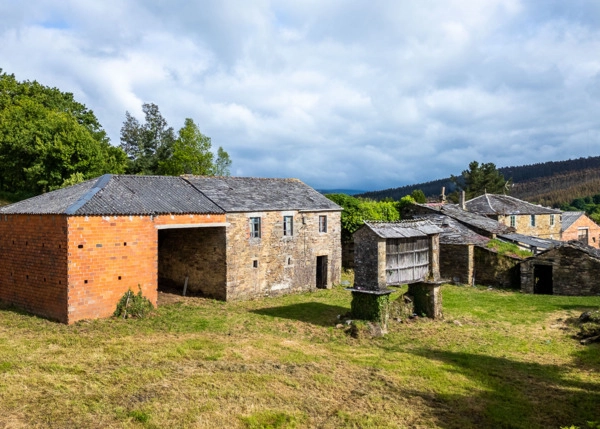 1-2226-68383ff99d9bd