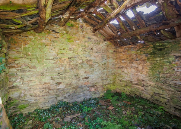 21-2226-6838401350937