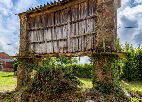 25-2226-68384018d5a38