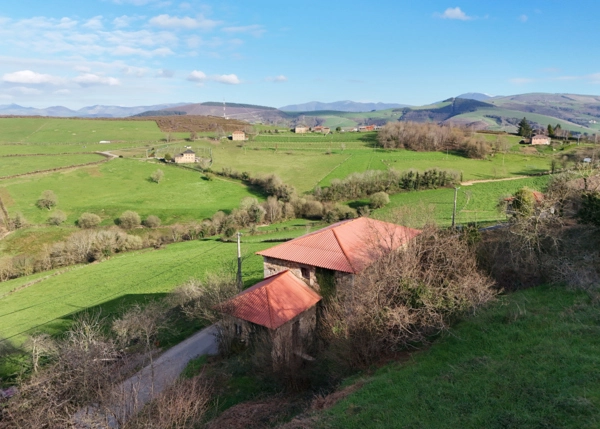 dji-fly-20250328-183706-0340-1743361063419-photo-683458acd2609
