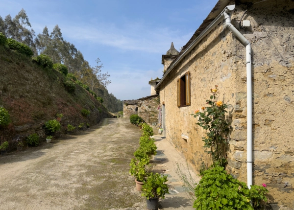 IMG-2336-682d913983983