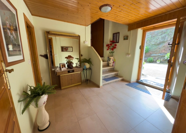 IMG-2381-682d9146d8c0d