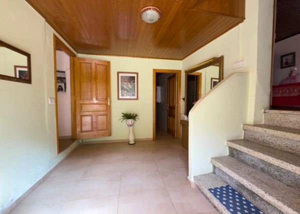 IMG-2382-682d9147382d2