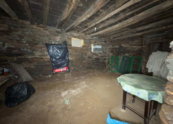 IMG-2456-682d9151b5951