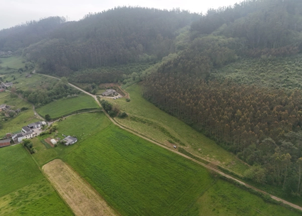 dji-fly-20250517-104410-0501-1747474926726-photo-682d912402b44