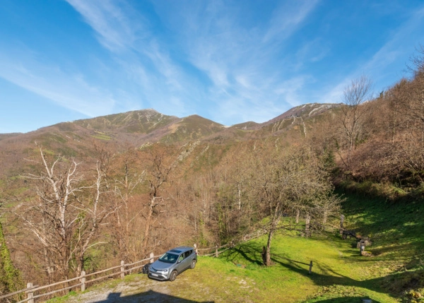 LDL-3558-685294f56f261