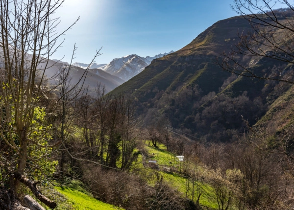 LDL-3626-68529529aa91f