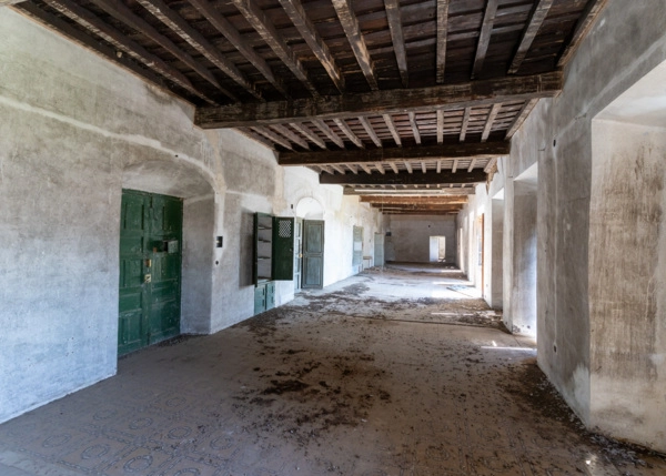 DSC01369-683856c9a50df