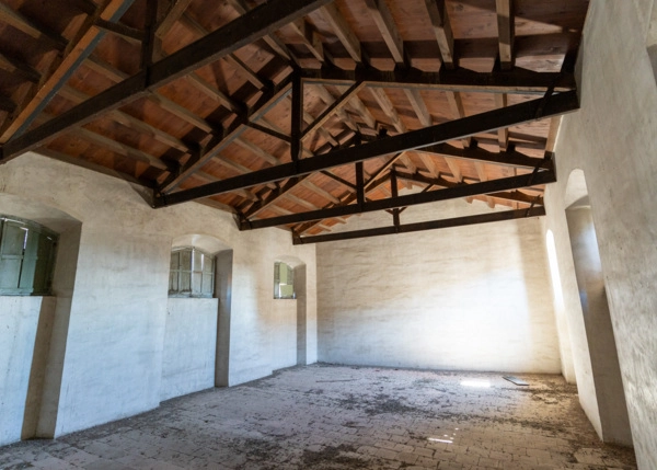 DSC01433-683856dd28449