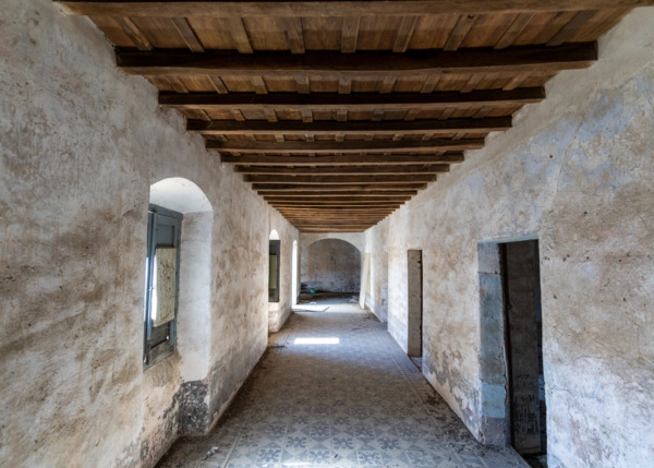 DSC01445-683856e1ec15a