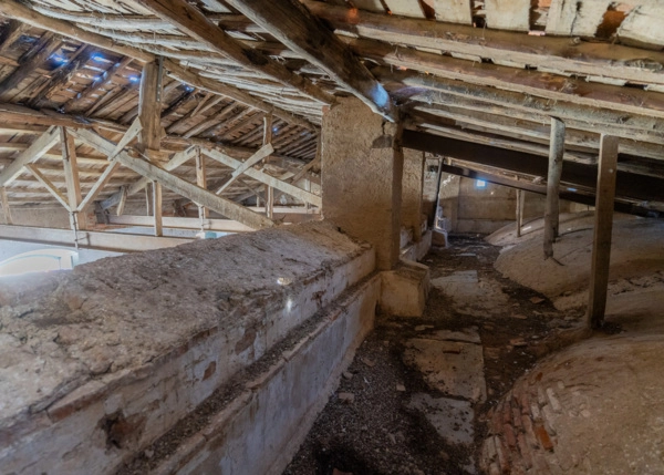 DSC01537-683857005ece0