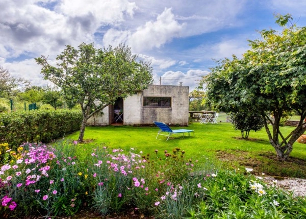 36-2271-6836e83b2c477