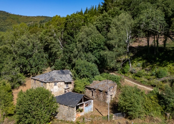 1-2274-68963b2155013