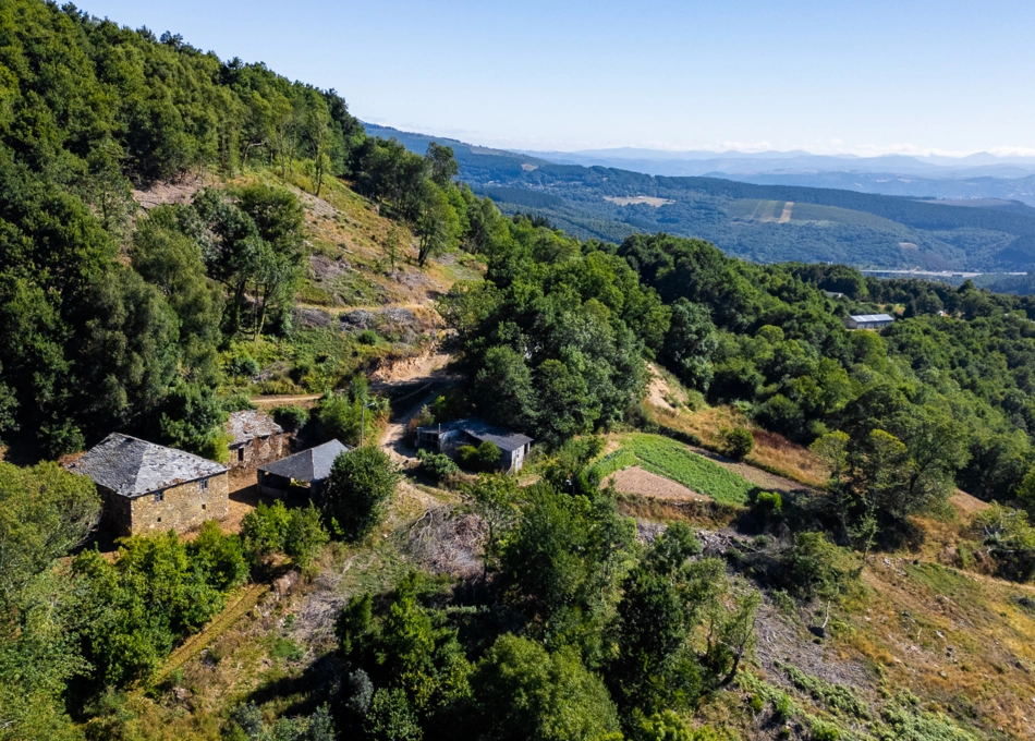 13-2274-68963b45a5be0