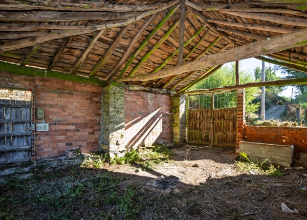 42-2274-68963cacb8426