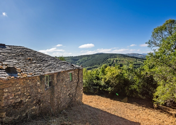 54-2274-68963ce268431