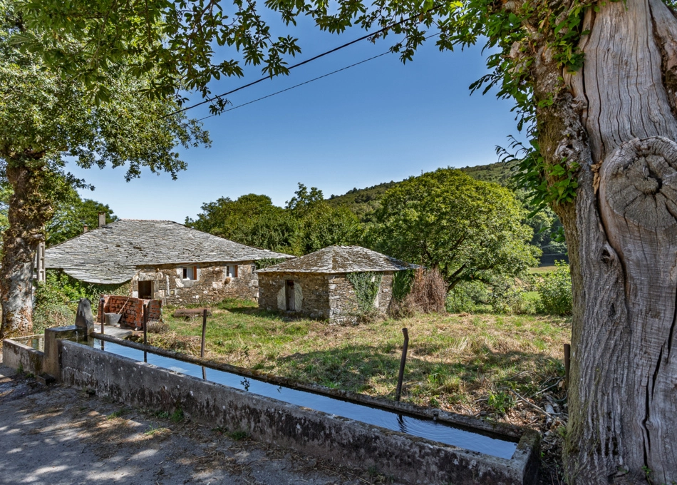 22-2282-68965d5e49b8f