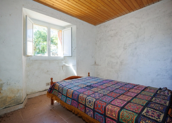 50-2282-68965eac595a1