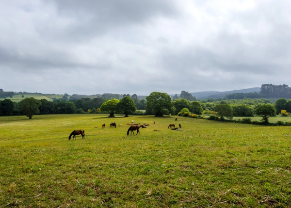 70-2291-68597c4aa2c89