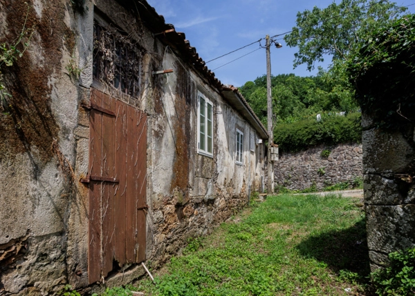 14-2306-685915a8c1ffd