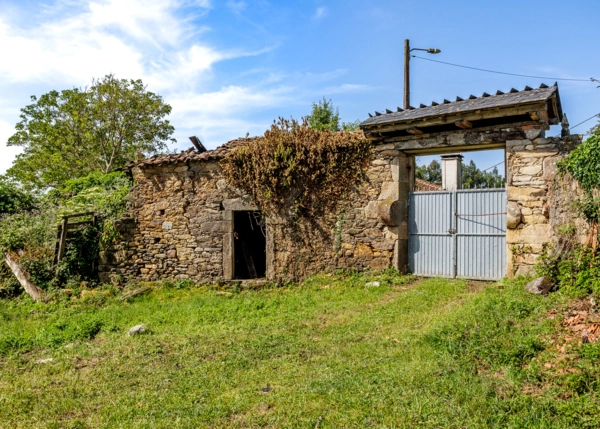 21-2306-685915da3cfdb