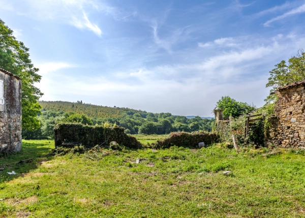 22-2306-685915e0bc429