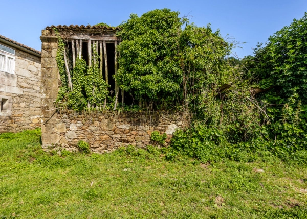 26-2306-685915fb06232