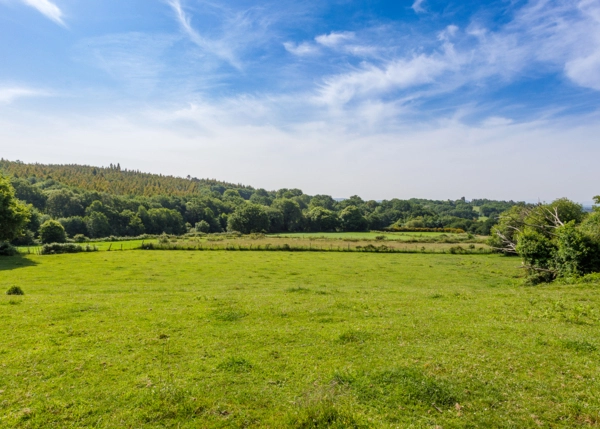 29-2306-68591610739b0