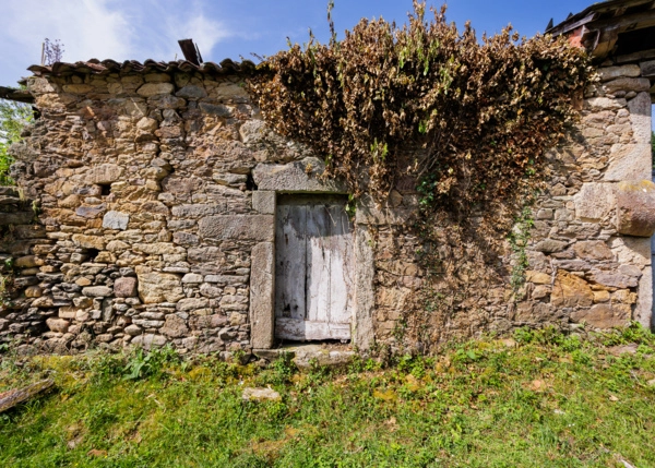 38-2306-6859164f459fa