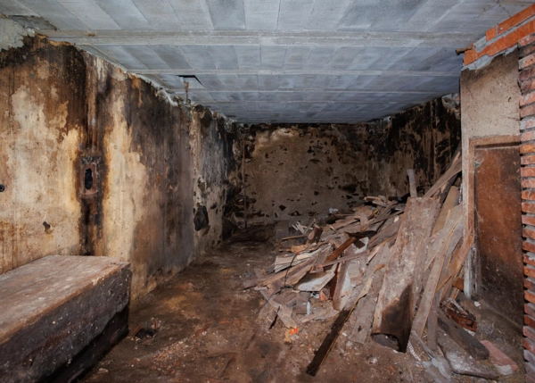 45-2306-6859167d5ca74