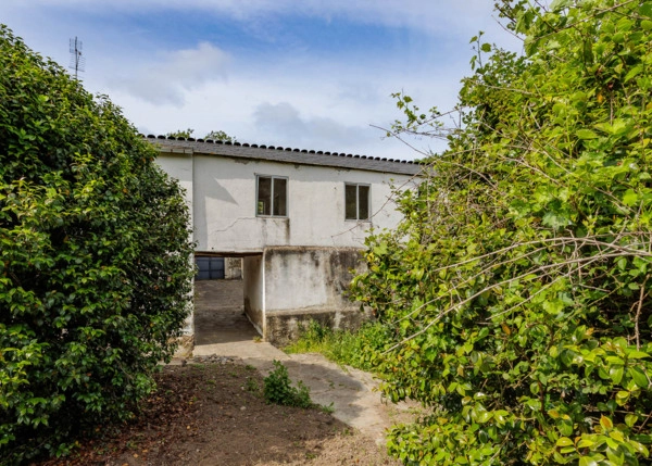 78-2317-68486f9f257ab