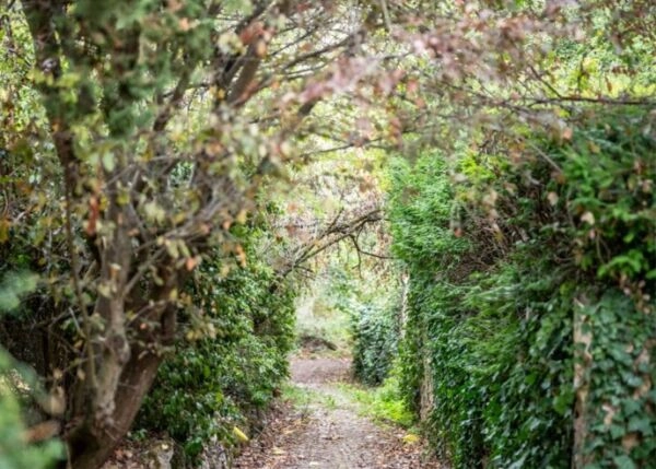 Diseno-sin-titulo-683c666f33b0f