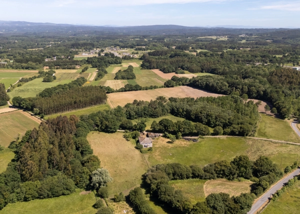 DJI-20260611160915-0010-D-6a38f2c48f78e