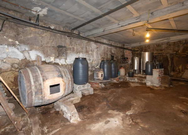 DSC-5111-689c962e67d2a