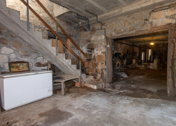 DSC-5114-689c9631375e0