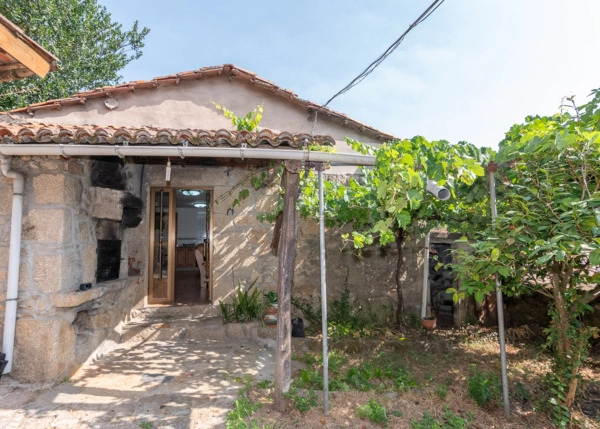 DSC-5133-689c963f8881a