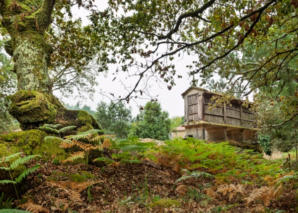 117-2475-68c28fac633fe