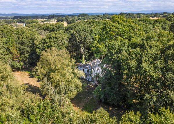 15-2481-68a5f7f592617