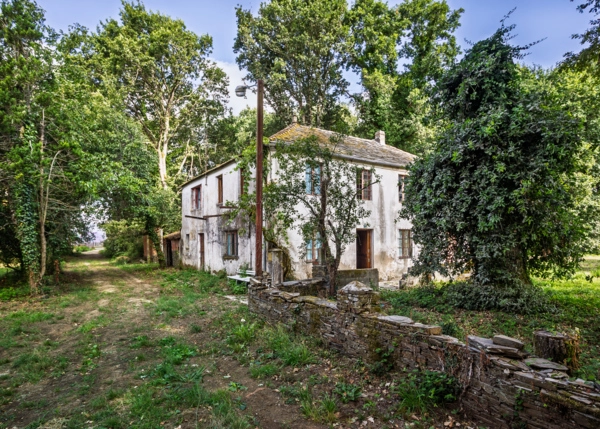 2-2481-68a5f79df2a7b