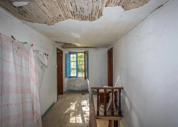 36-2481-68a5f8b7b743c