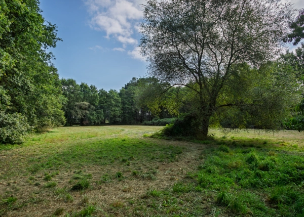 4-2481-68a5f7abad46f