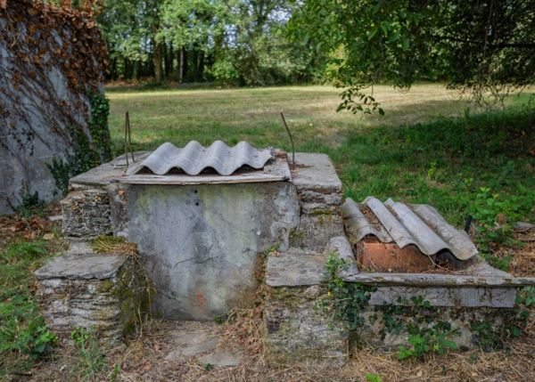 53-2481-68a5f92951ad5