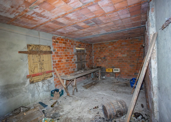 62-2481-68a5f96676802