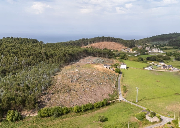 DJI-20250711172046-0055-D-68793929ae3a9