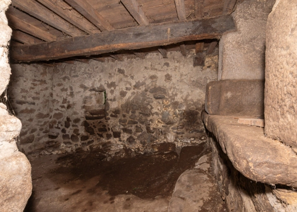 DSC-5011-68793941019ca