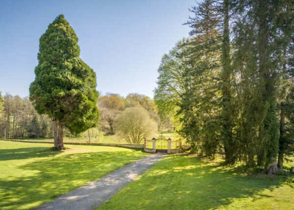 96467cea004aa294549e343335f6d0c8-68764090152c9