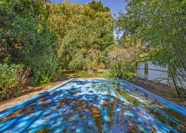 113-2512-68ef4daf47082