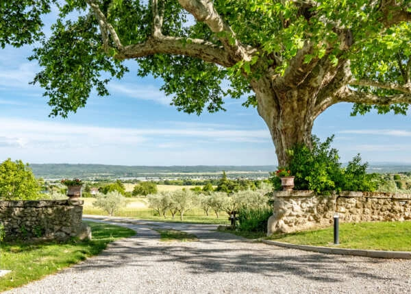 f88618e8935c3aff919a8ce3832eb228-6876c9074e053