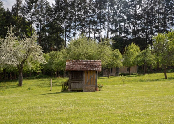 2d20a830390795de9e0f472bcce0bc7a-68772bf60f254