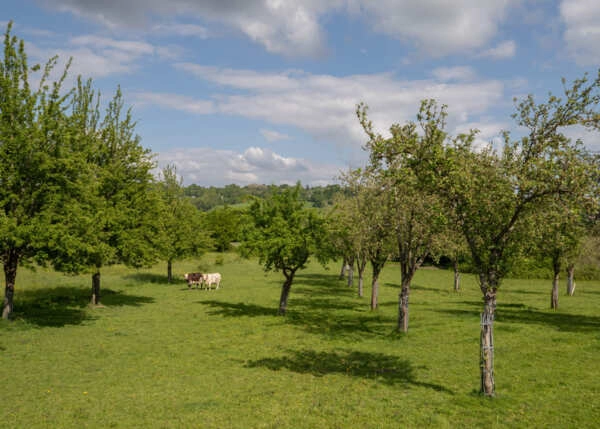 5b1fc02bbba8cda47a393ed3c92da521-68772bfbf18f3